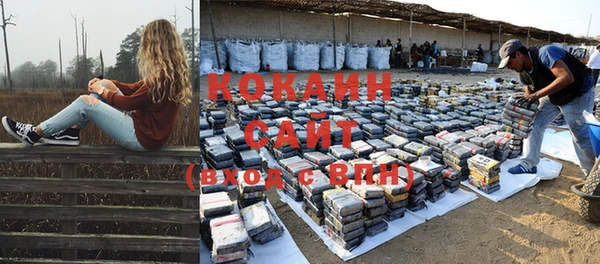 прущие крисы Карпинск