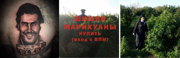 каннабис Касимов