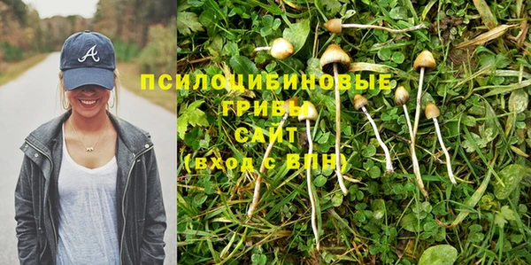каннабис Касимов