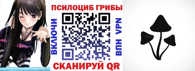 Купить закладки  Верещагино  Галлюциногенные грибы мухоморы 